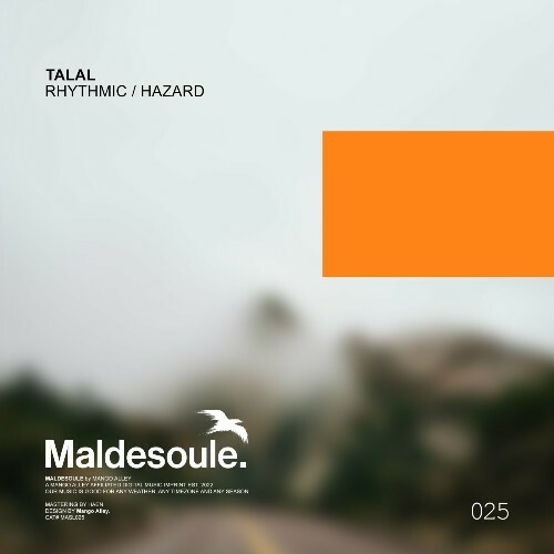  Talal - Rhythmic / Hazard (2025) 