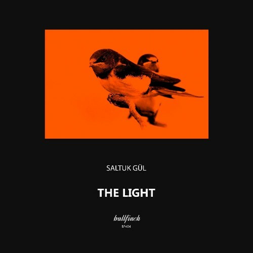  Saltuk G&#252;l - The Light (2025) 