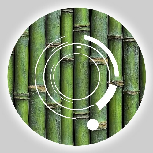  OPID - Bamboo (2024) 