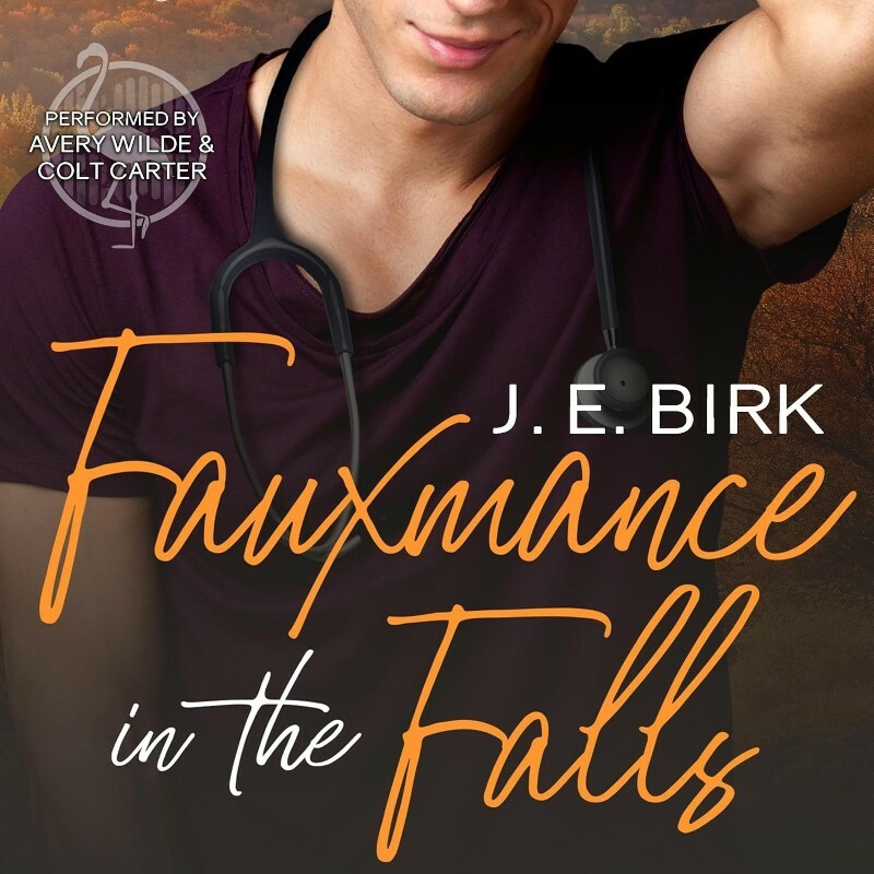 Devon Falls #1 Fauxmance In The Falls By J E Birk (J. E. Birk)