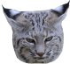 ME12K79E_o.png