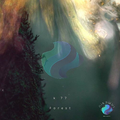  K 77 - Forest (2024) MP3 MEVEHSE_o