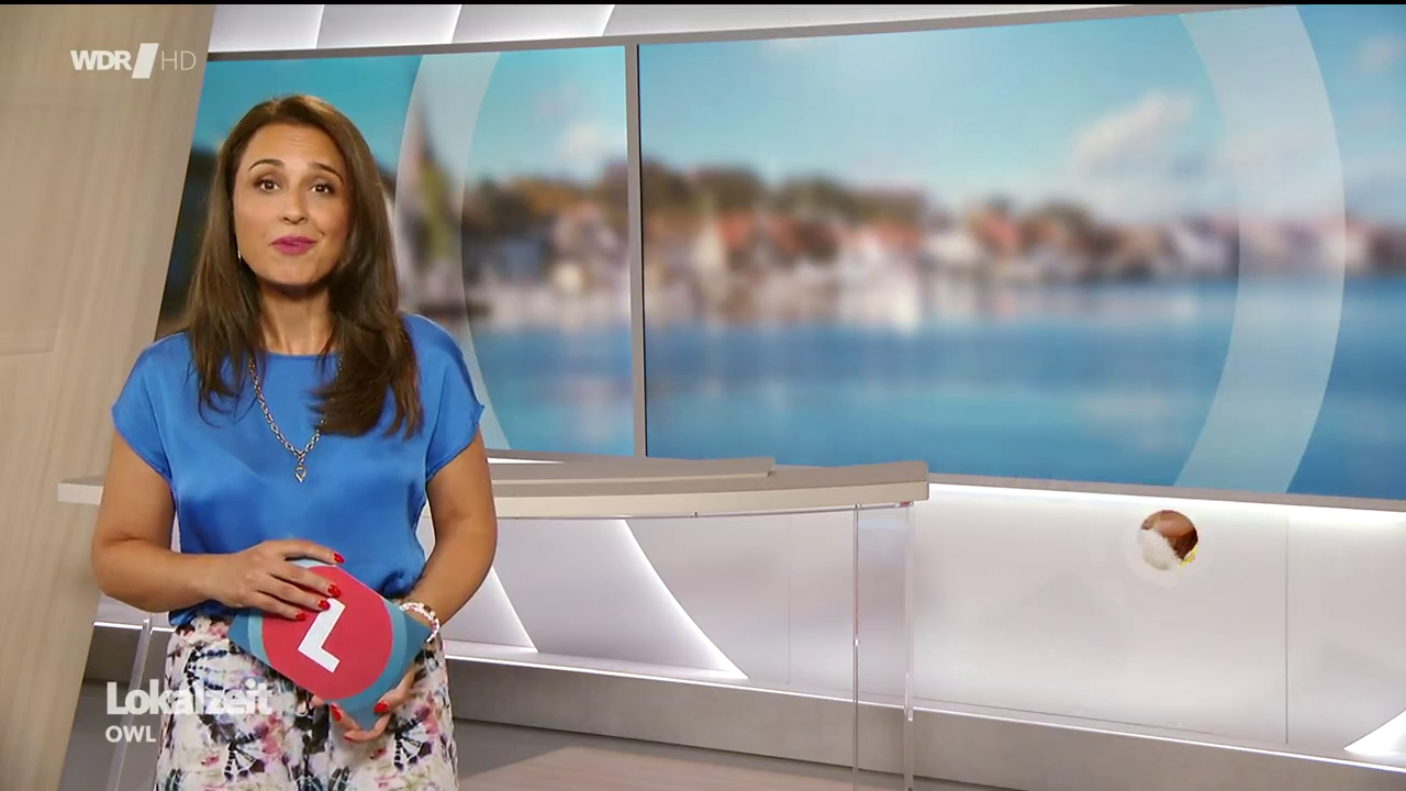 Nina Moghaddam - °WDR Lokalzeit OWL° 15.08.2024 - 119X Caps_119.png