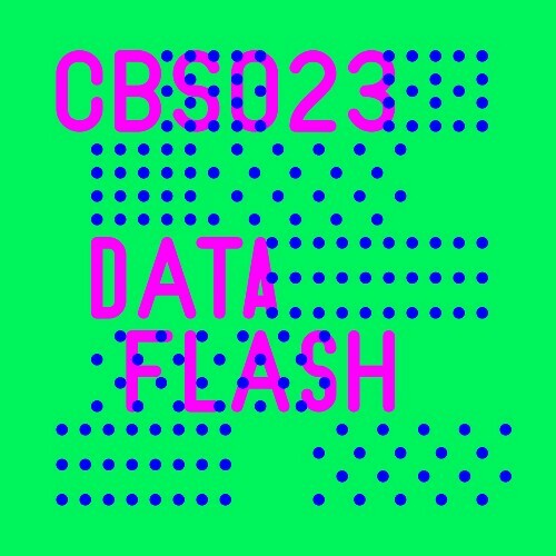  Christian Burkhardt & Chris Wood - Dataflash (2026) 