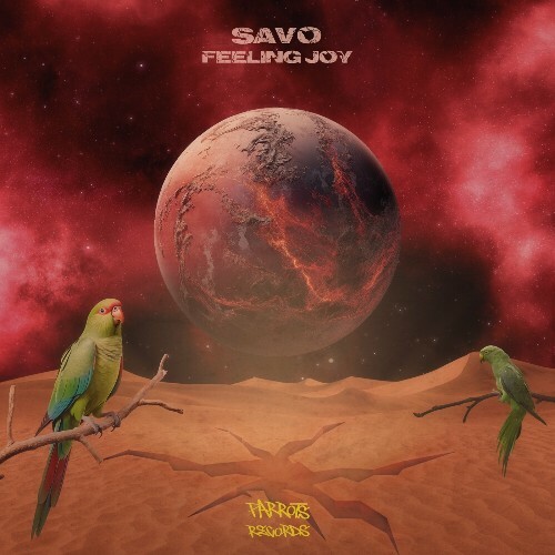 VA - Savo - Feeling Joy (2024) (MP3) METPSNA_o