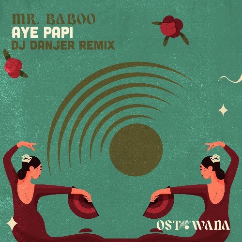 Mr. Baboo - Aye Papi (DJ Danjer Remix) (2024) 