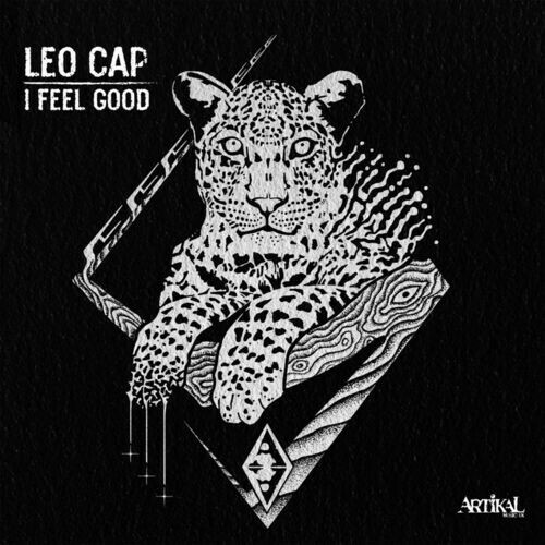 VA - Leo Cap - I Feel Good (2023) (MP3)