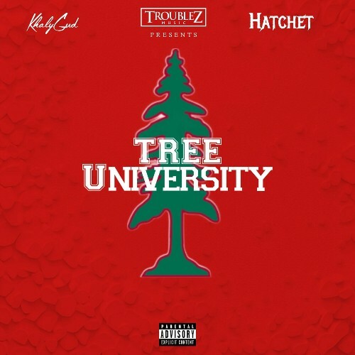  Tree University (2024) 