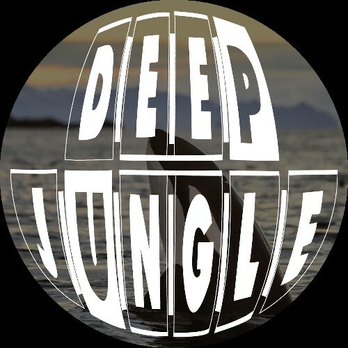  Orca - Dancing With Dolphins Vol. 2 (2025) 