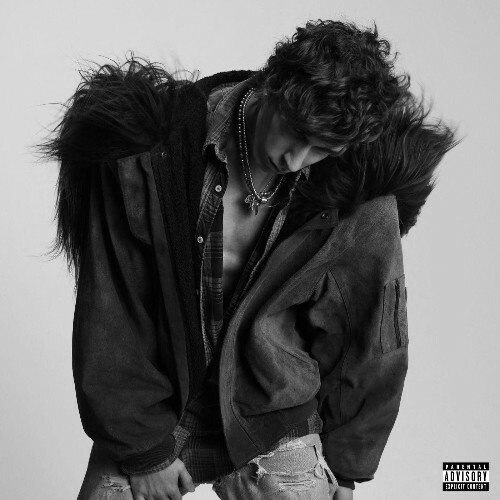 Nate Sib - for us (2025) 