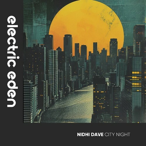 VA - Nidhi Dave - City Night (2024) (MP3)