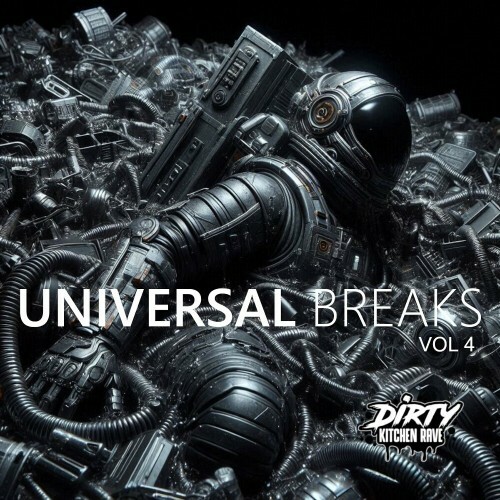  UNIVERSAL BREAKS, Vol. 4 (2024) 