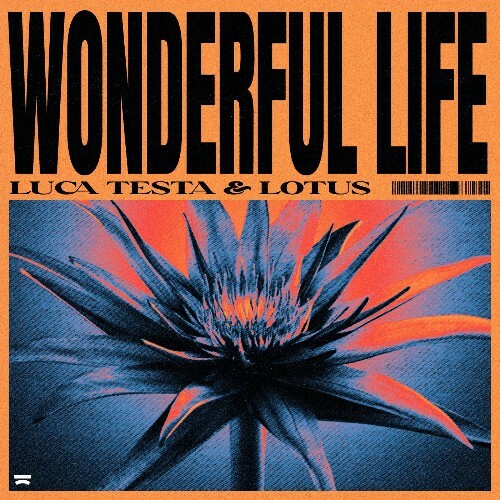  Luca Testa & Lotus - Wonderful Life (2024)  MEWD9Y7_o