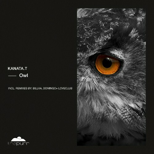  kanata.t - Owl (2025) 