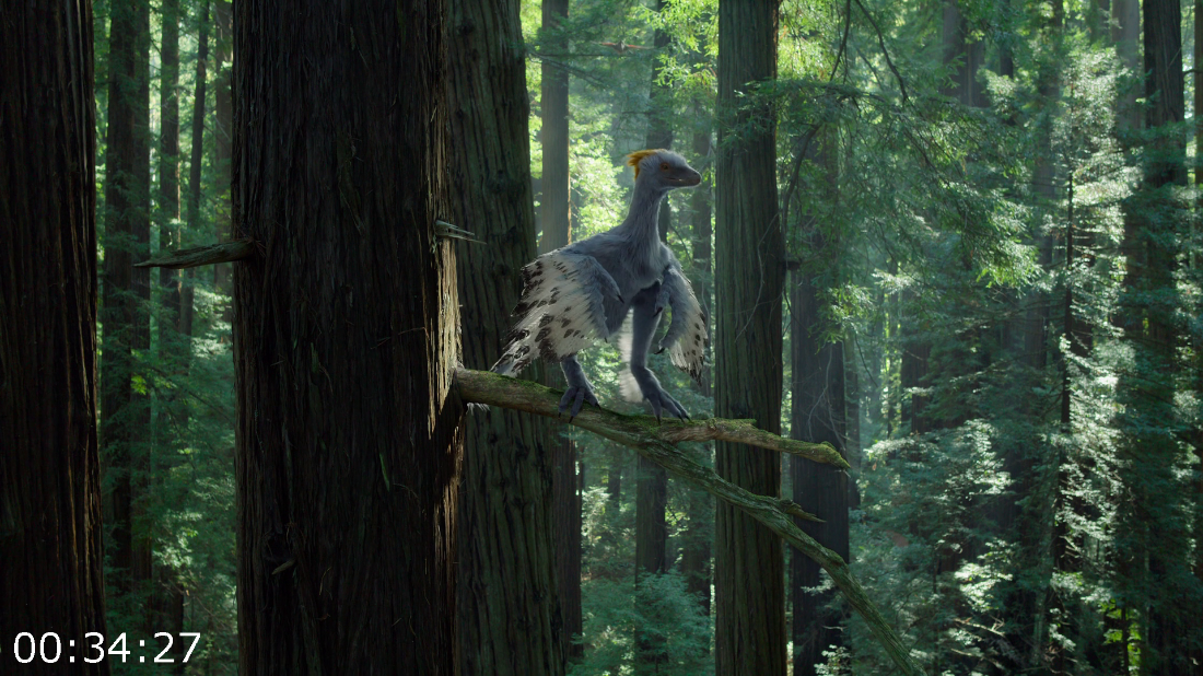 [Kép: ME1B4LGV_o.png]