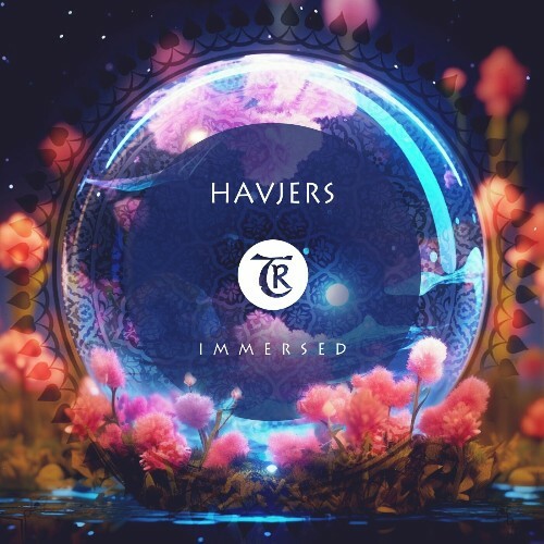 Havjers - Immersed (2024) 