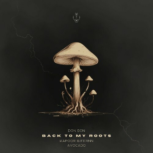  Don Son - Back to My Roots (2025) 