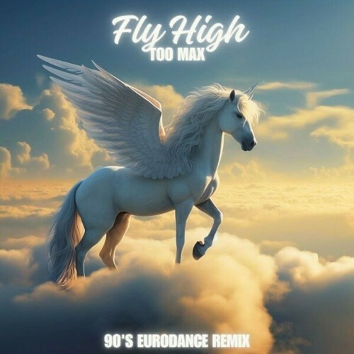 Too Max - Fly High (90'S EuroDance Remix) (2024) 