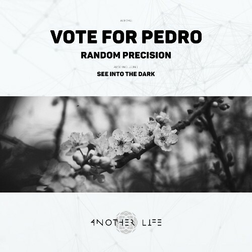  Vote for Pedro - Random Precision (2026) 