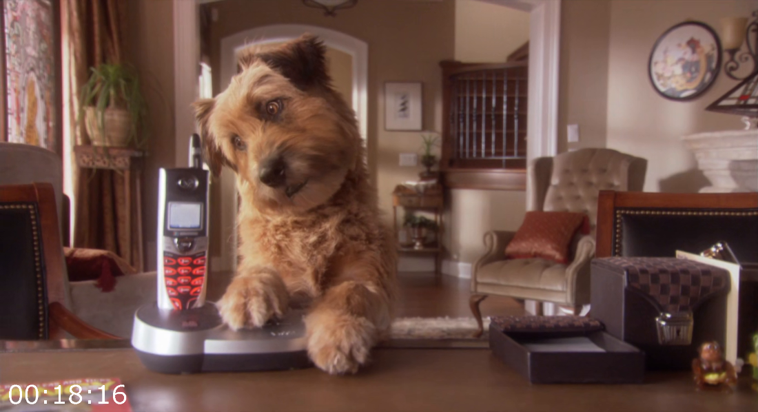 [Kép: ME1B0QQP_o.png]