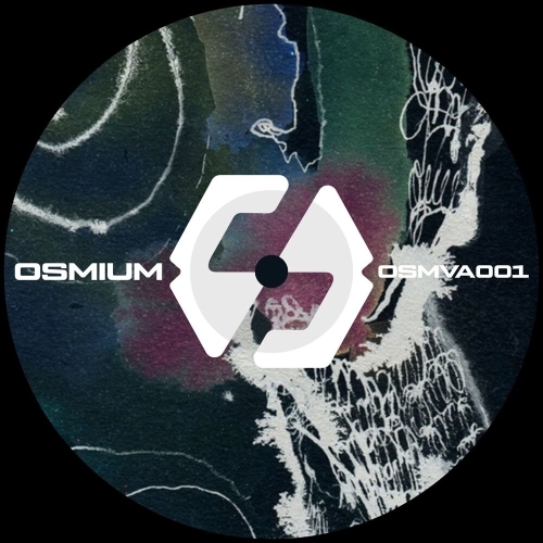  Osmva001 (2025) 