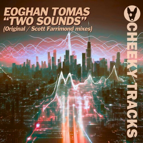  Eoghan Tomas - Two Sounds (2024) 