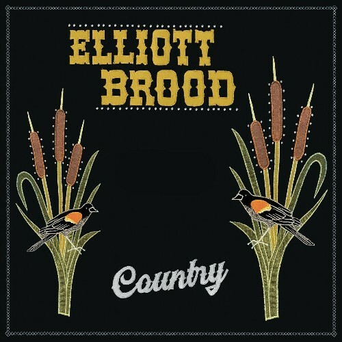 Elliott Brood - Country (2024)  MESXDPI_o