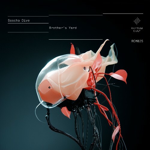  Sascha Dive - Brother&#146;s Yard (2025) 