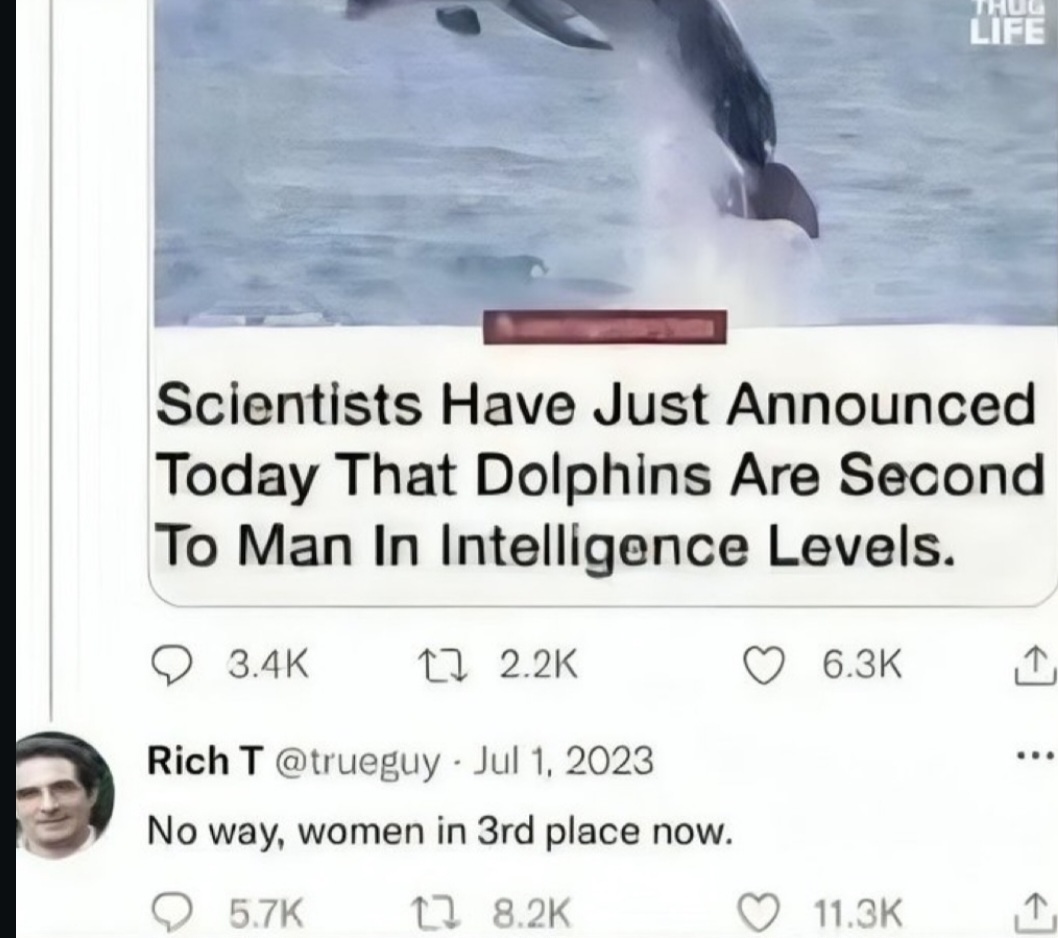 ME1BLO4T_o.jpg