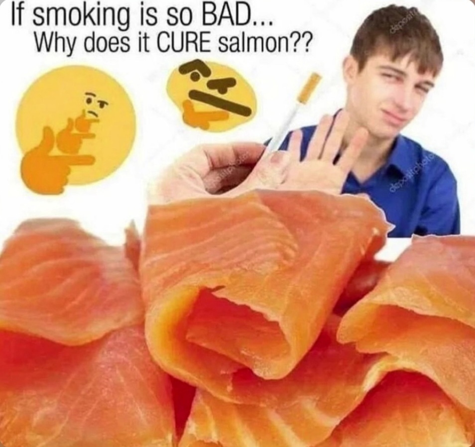 ME1BSYW7_o.jpg