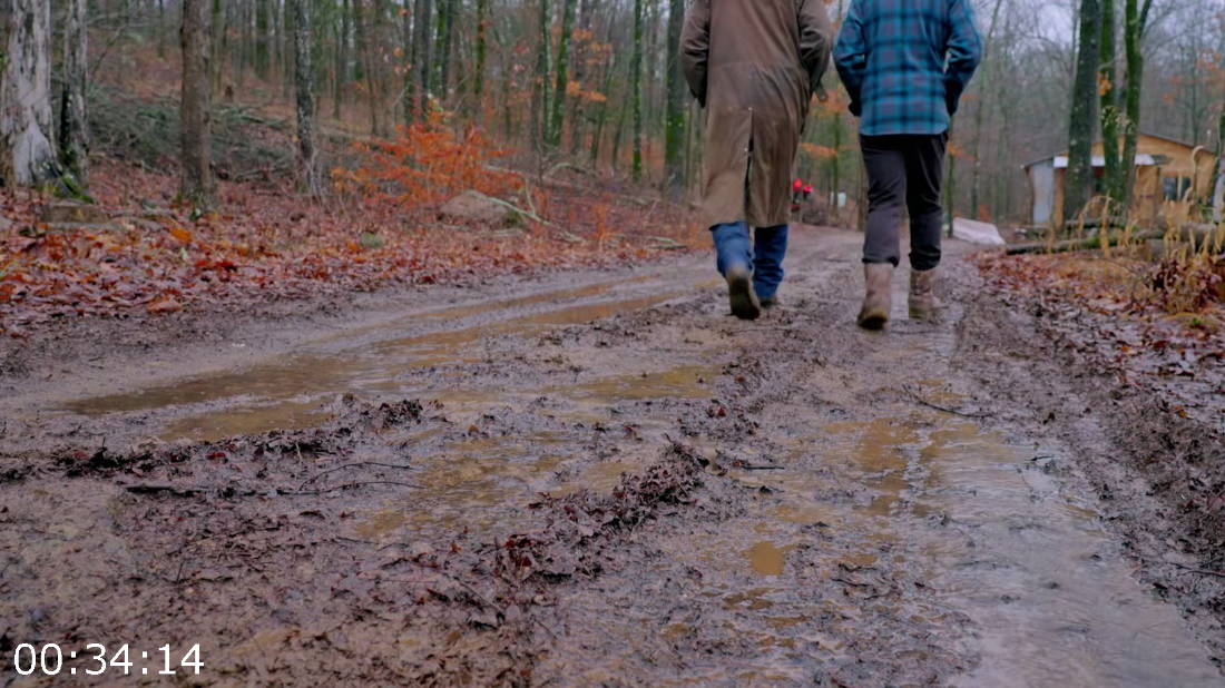 [Image: ME17F53V_o.png]