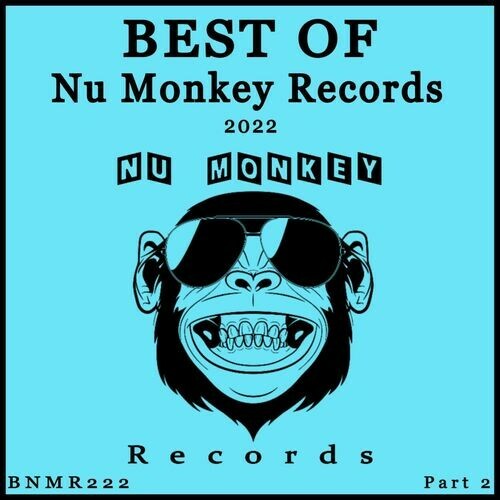 Best Of Nu Monkey Records 2022 Part 2 (2023)