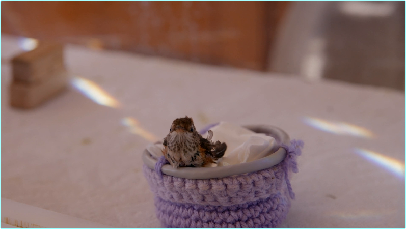 [Image: ME16MREZ_o.png]