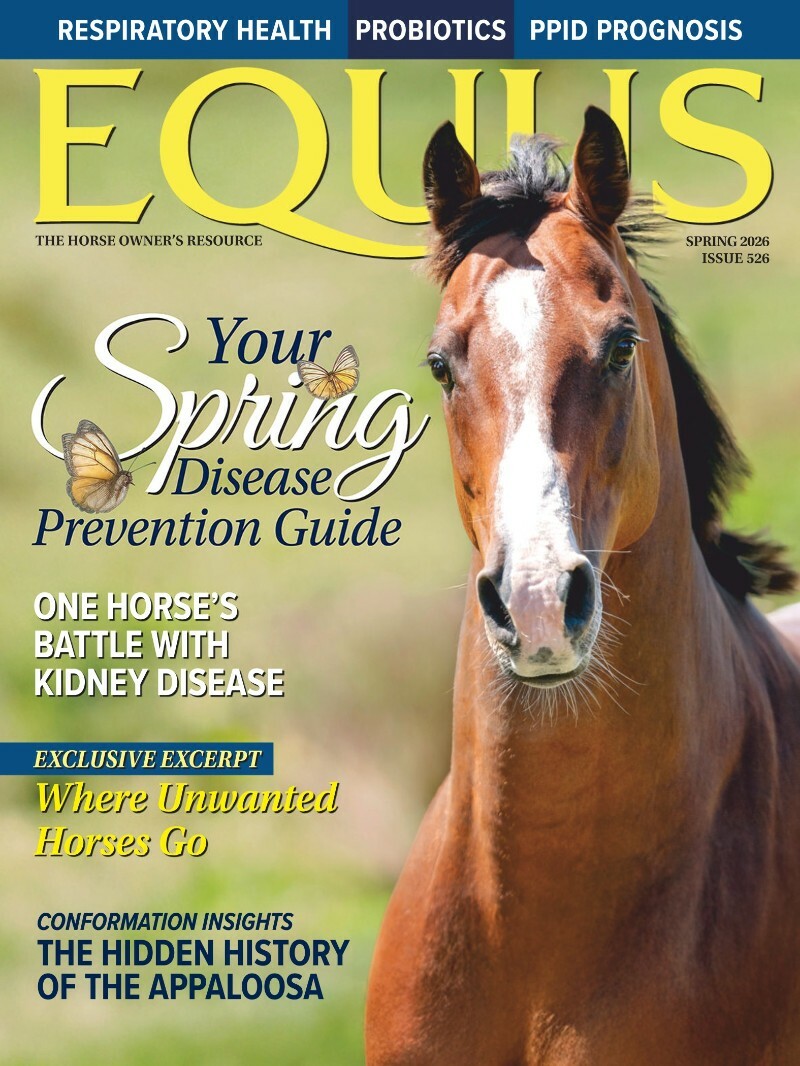 Equus Spring 2026 Equus Spring 2026