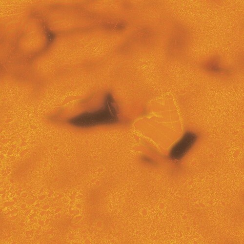  TRSSX - A Mass Deliberately Deprives Itself Of Reason (2025) 