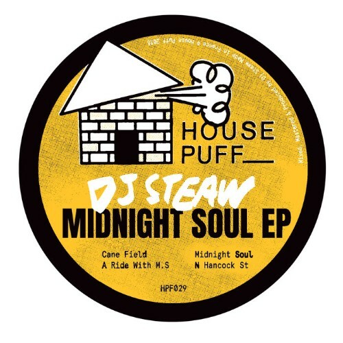 Dj Steaw - Midnight Soul (2025) 
