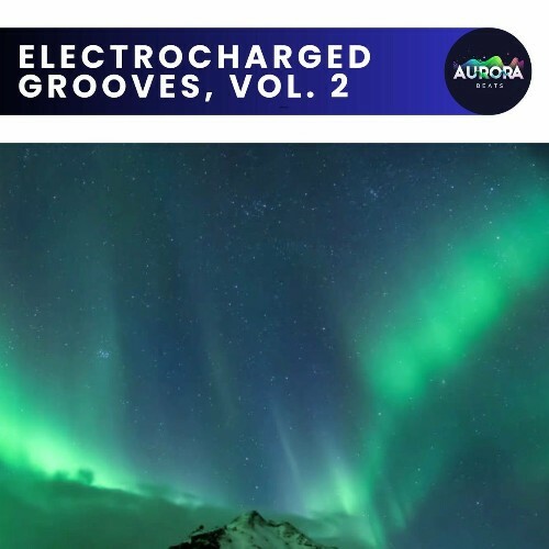  Electrocharged Grooves, Vol. 2 (2025) 
