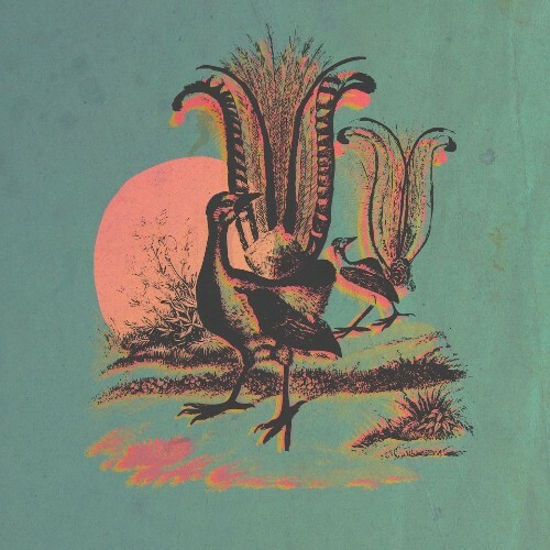  Tristitropici - Traduzioni (2026) 