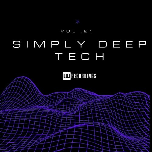  Simply Deep Tech, Vol. 21 (2024) 