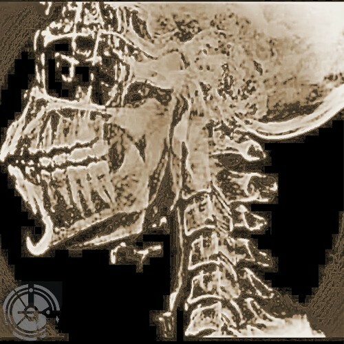  12 anniversary V.A. (2026) 