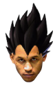 ME14TZV1_o.png
