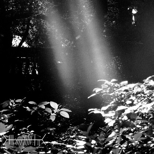  Lucas Silvero - Ein Sonnenstrahl (2026) 