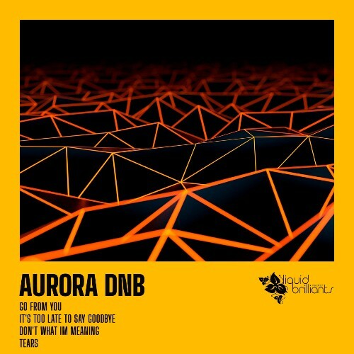  Aurora Dnb - Tears (2025) 