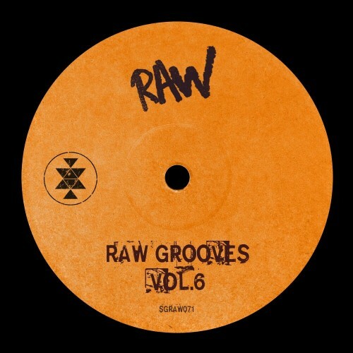  Raw Grooves, Vol.6 (2024)  MEVFO00_o