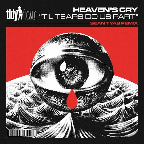  Heaven's Cry - Til Tears Do Us Part (Sean Tyas Remix) (2024) 