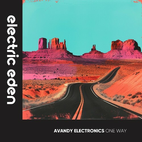  Avandy Electronics - One Way (2024) 