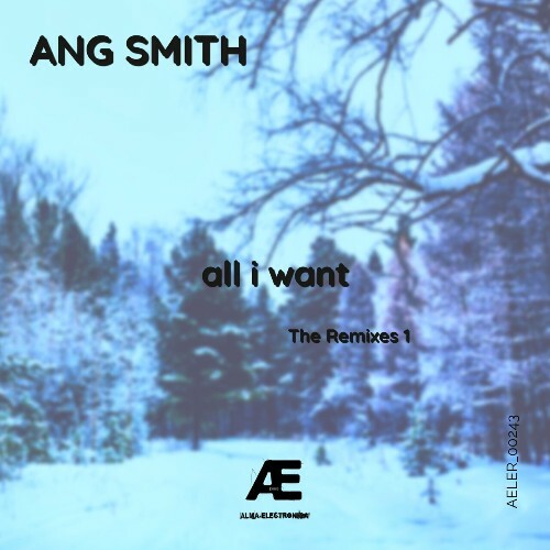  Ang Smith - all i want (Remixes) (2024) 