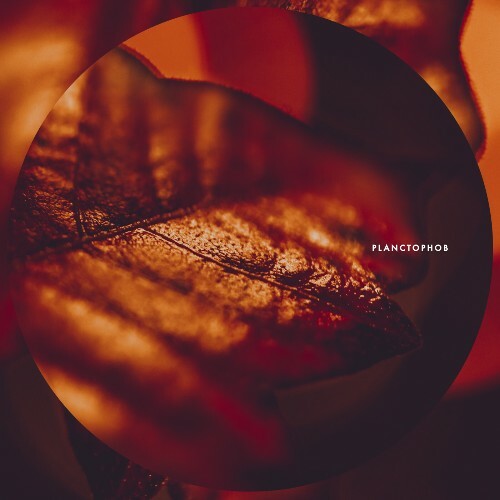 Planctophob — Fossil (2026)
