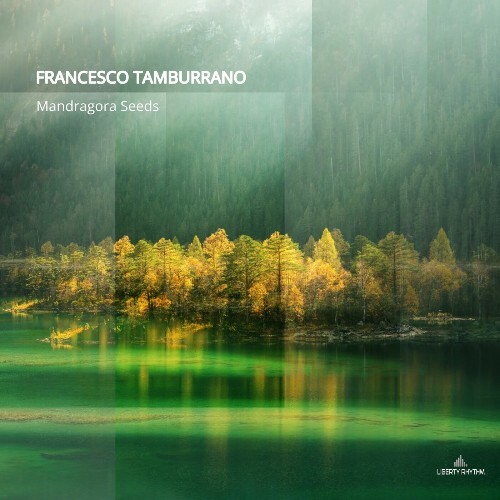  Francesco Tamburrano - Mandragora Seeds (2024) 