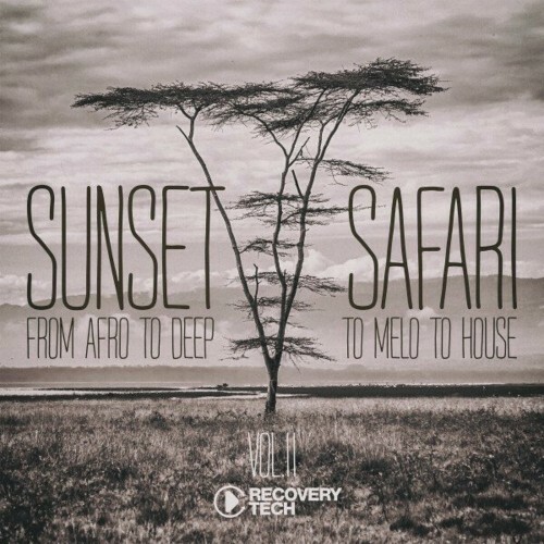  Sunset Safari, Vol. 11 (2024) 